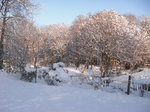 Winter on Remenham Hill